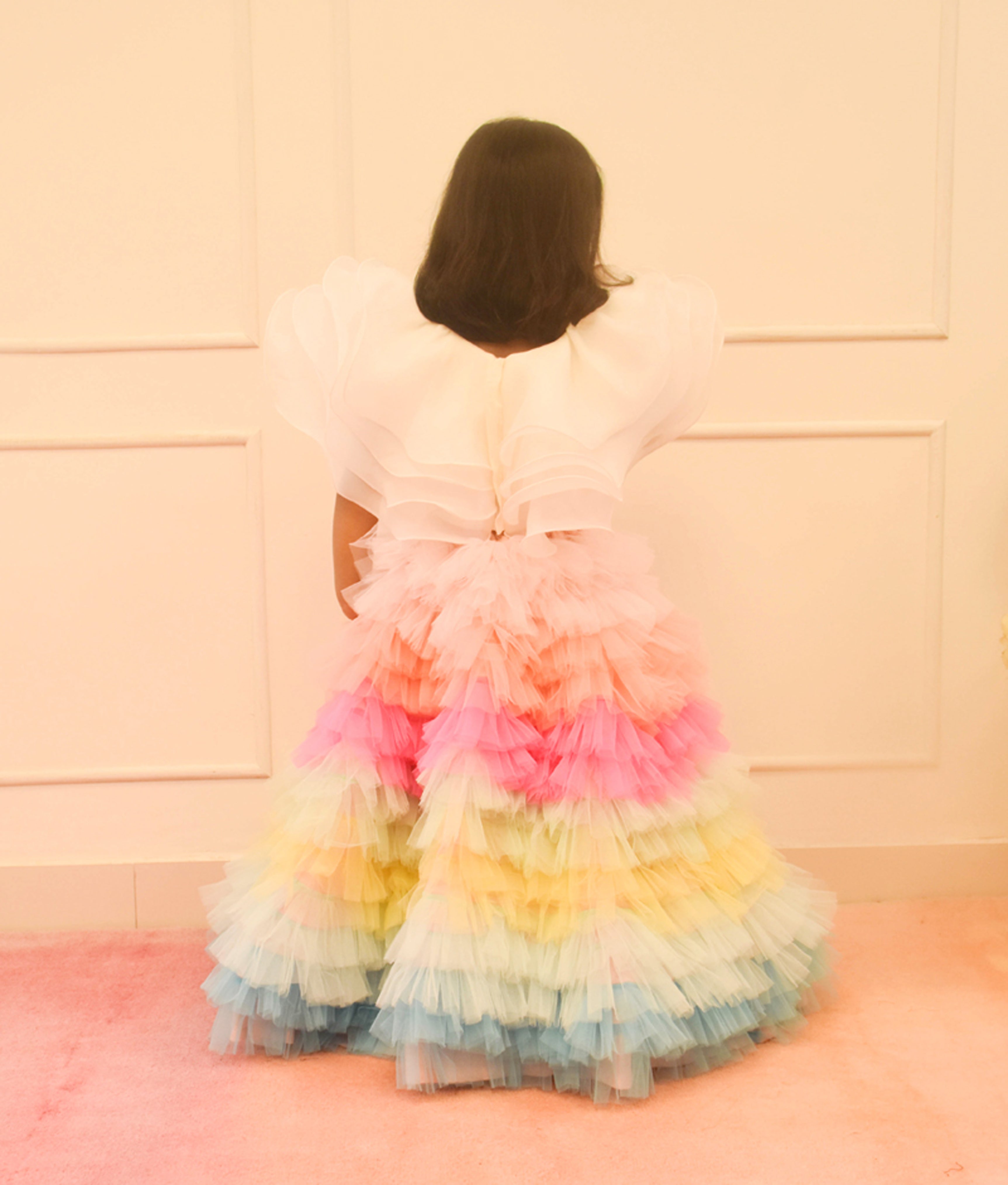 Orgaza Crop Top with Multi Colour Skirt