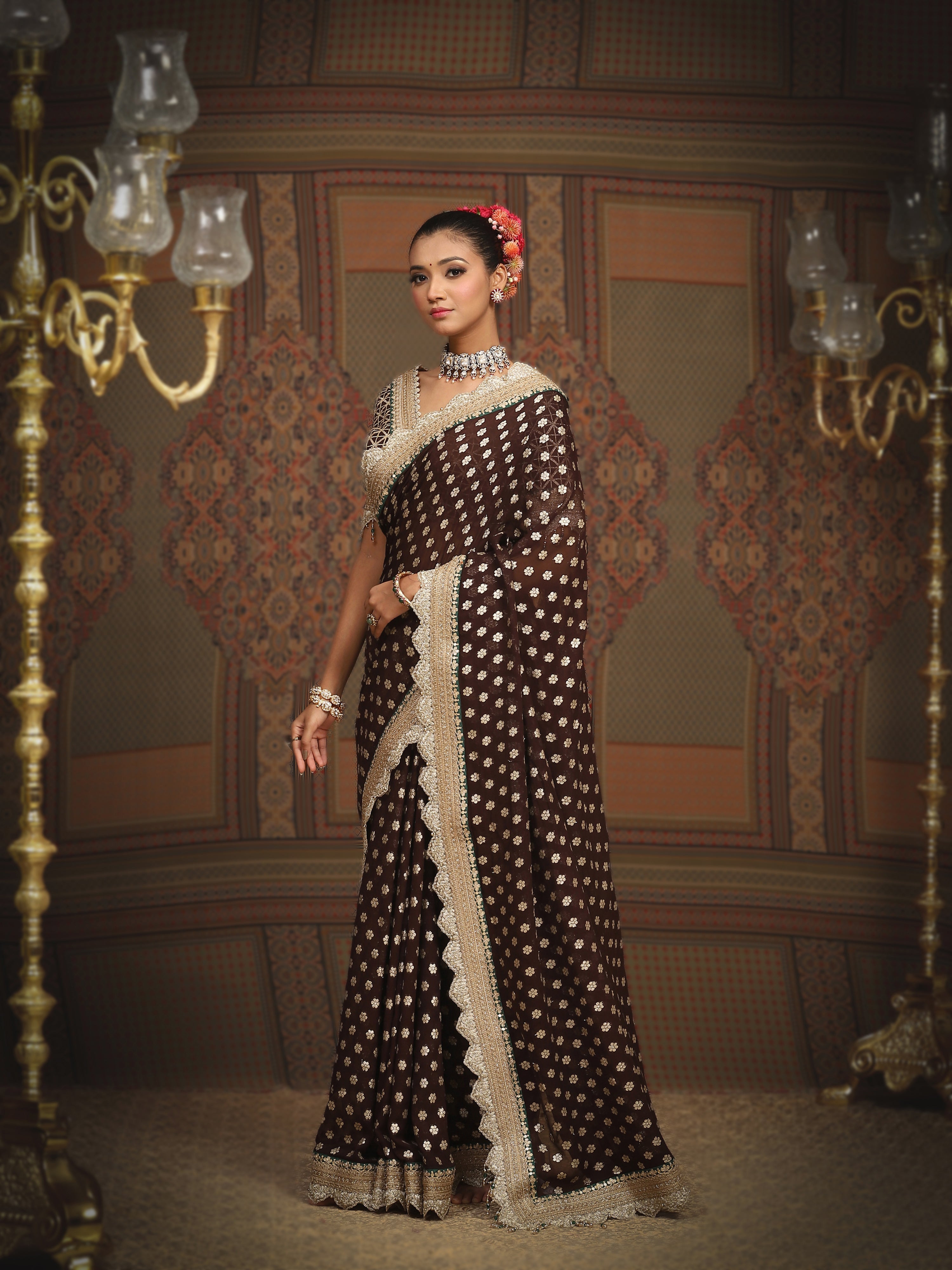 Dark Brown And Emerald Green Saree & Blouse Set
