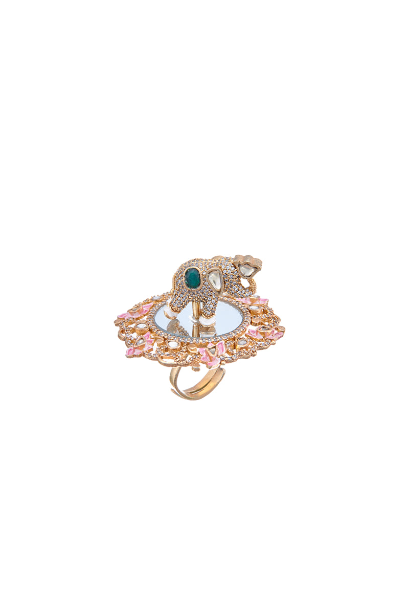 Dviraad Rotating Ring