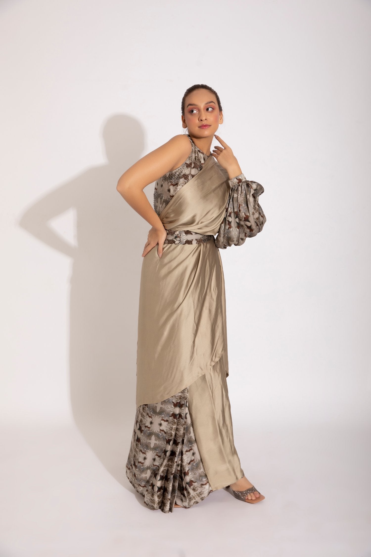 Sari With A Sleeve