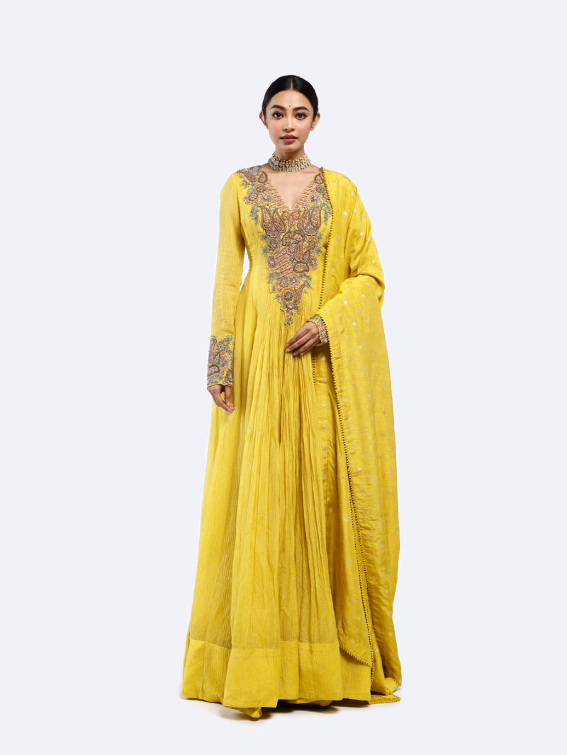 Bedecked Paisley Anarkali Suit set