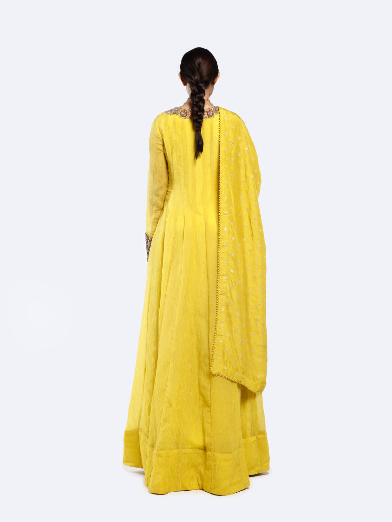 Bedecked Paisley Anarkali Suit set