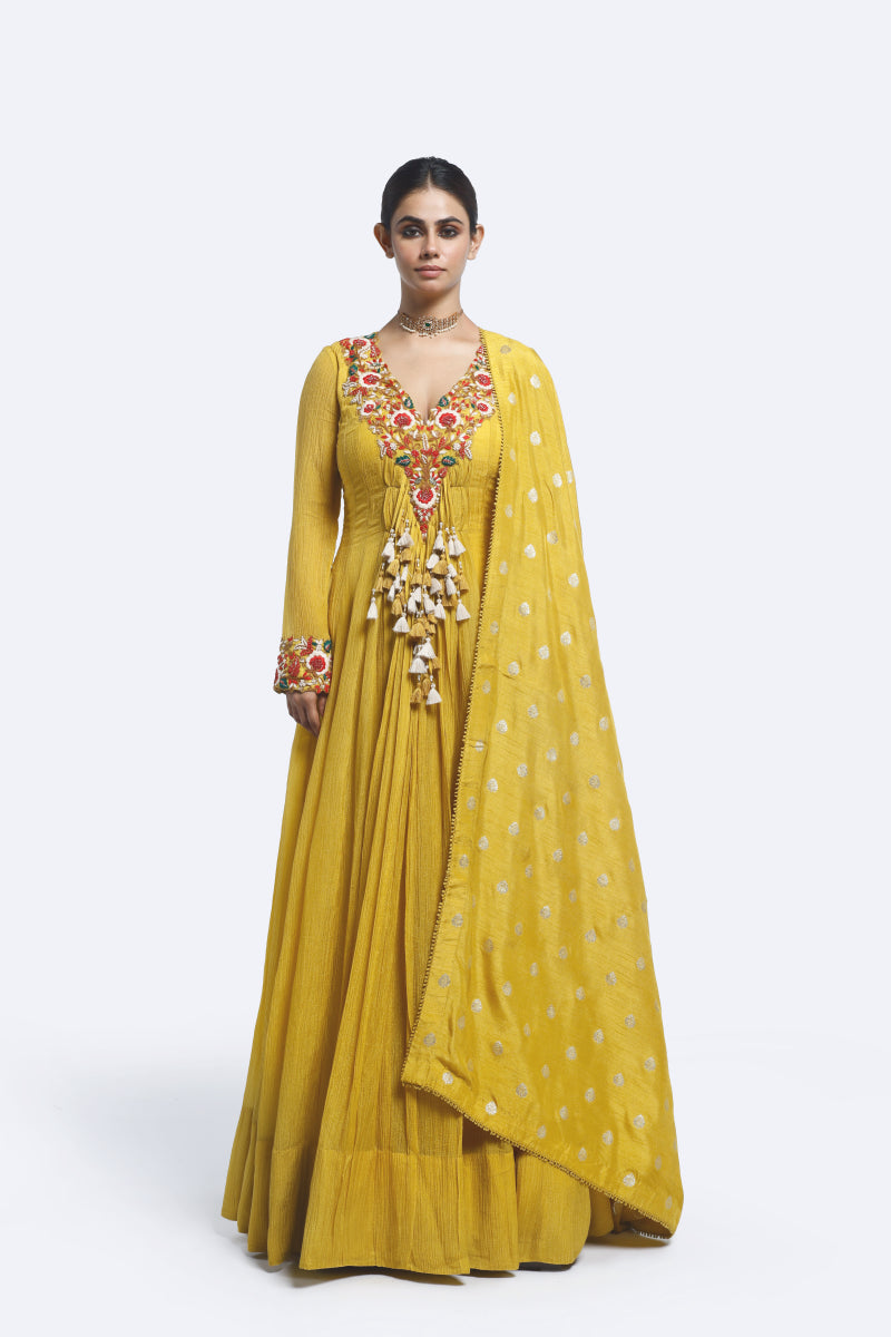 Floral Thread Embroidered Anarkali