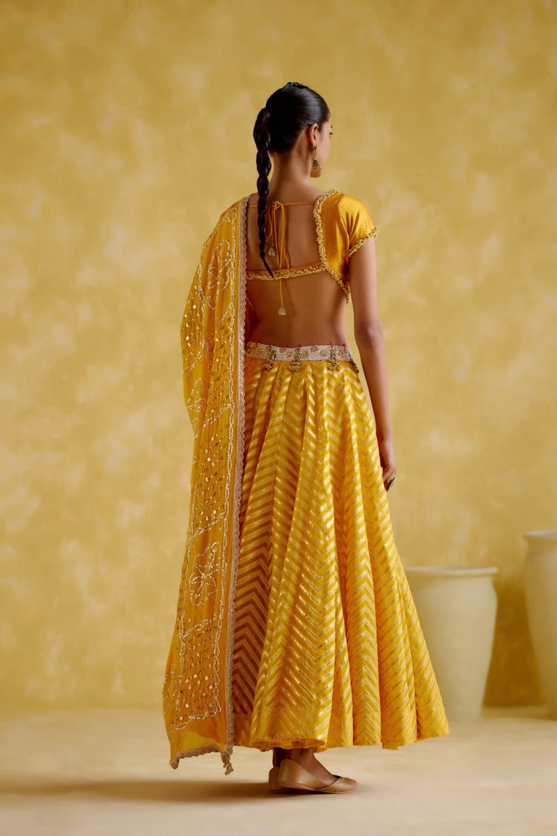 Anvi Yellow Lehnga