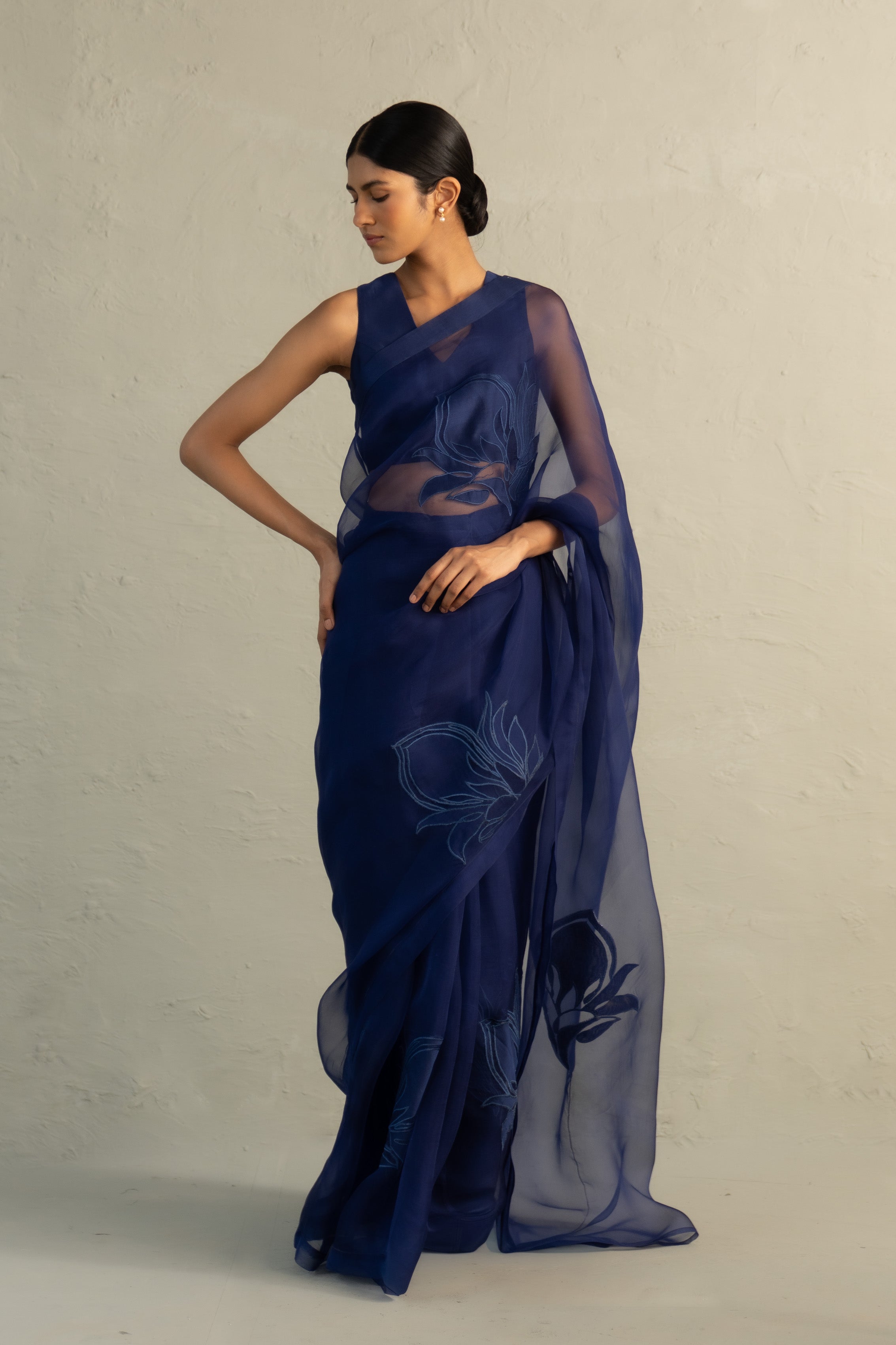 Blue Edit Organza Applique Saree