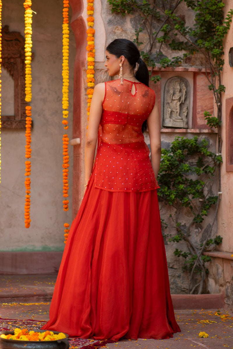 SHEER SEQUIN LONG CHOLI LEHENGA SET