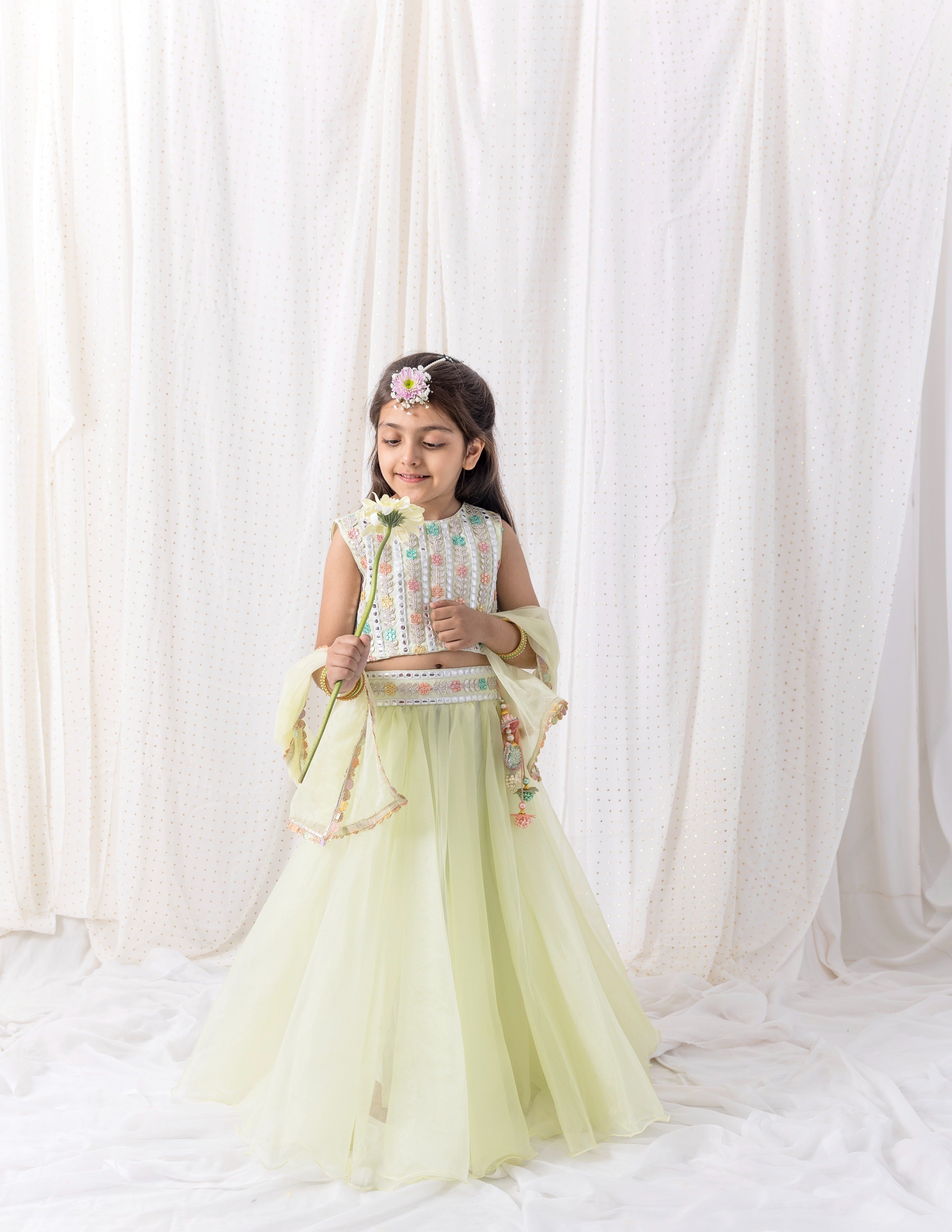 Organza Lehenga And Top