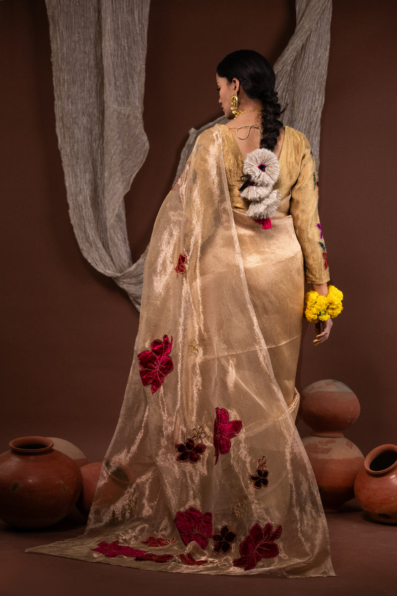 Anaira - Saree & blouse