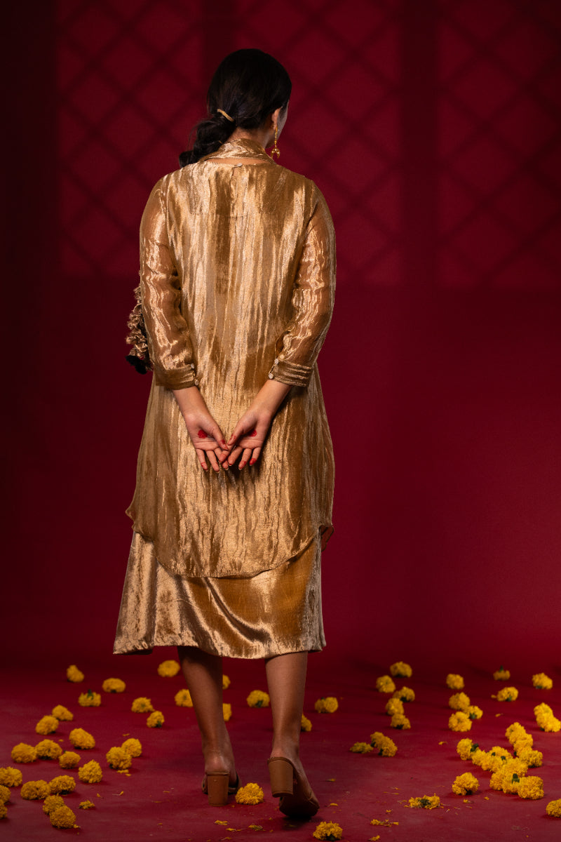 Ashwi - Overlay & dress set