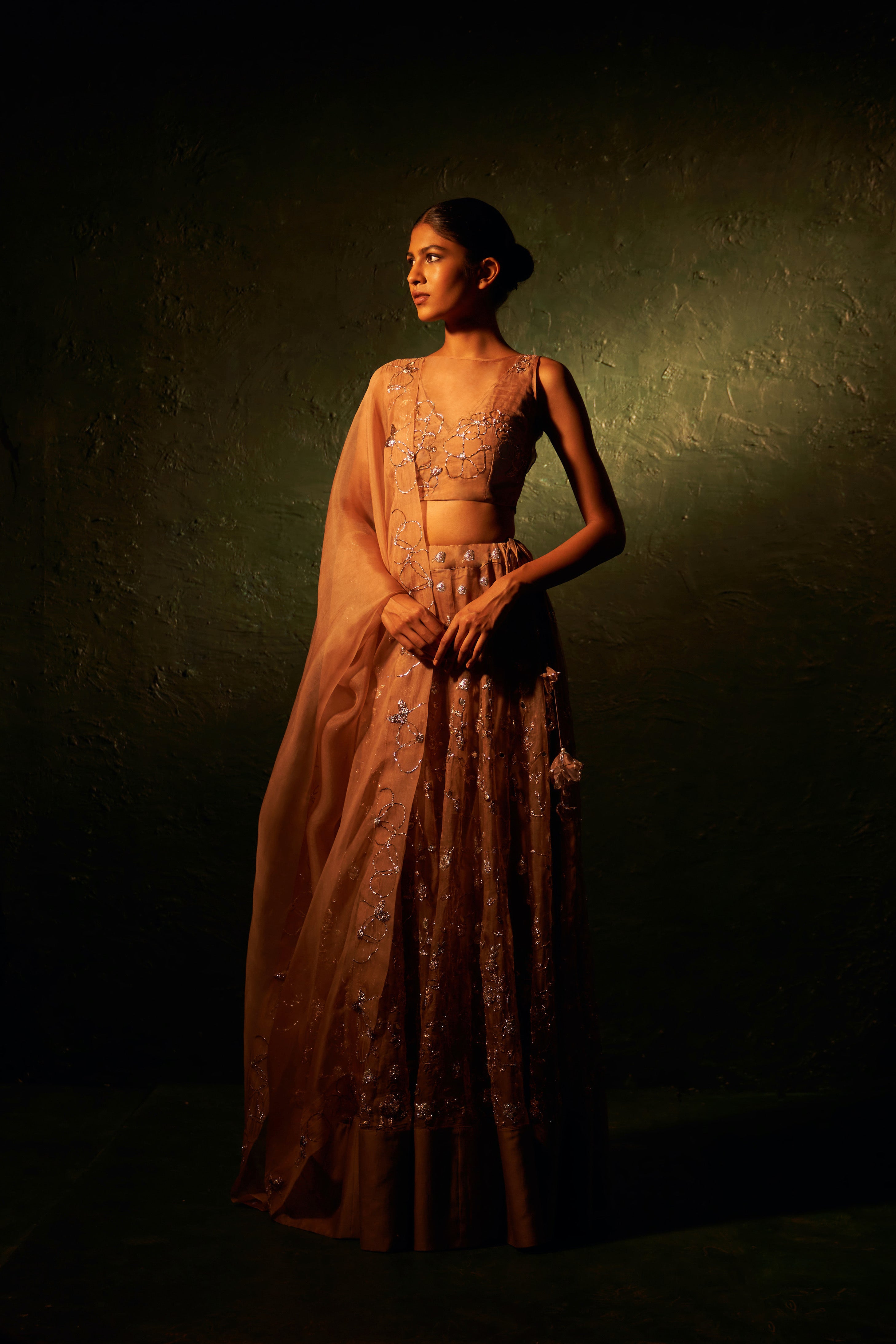 Midas Ginger Organza Hand Embroidered Lehenga - Set of 3