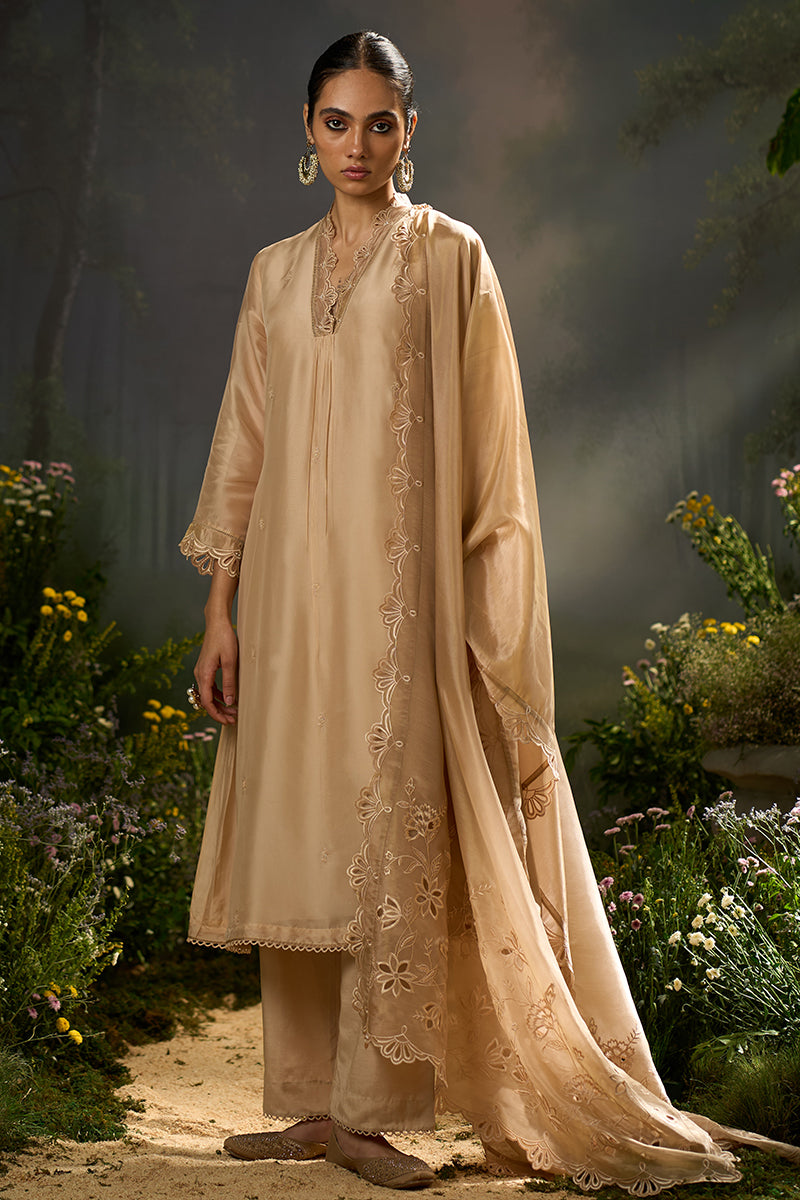 Brazilian Sand Festive Kurta Set