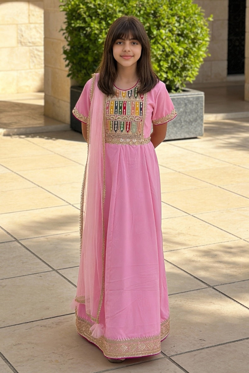 Pink Velvet Anarkali