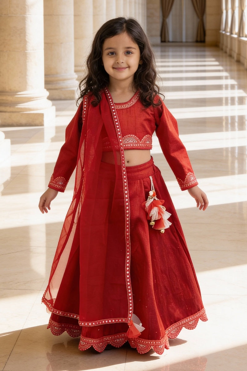 Red Raw Silk Lehenga Choli Set