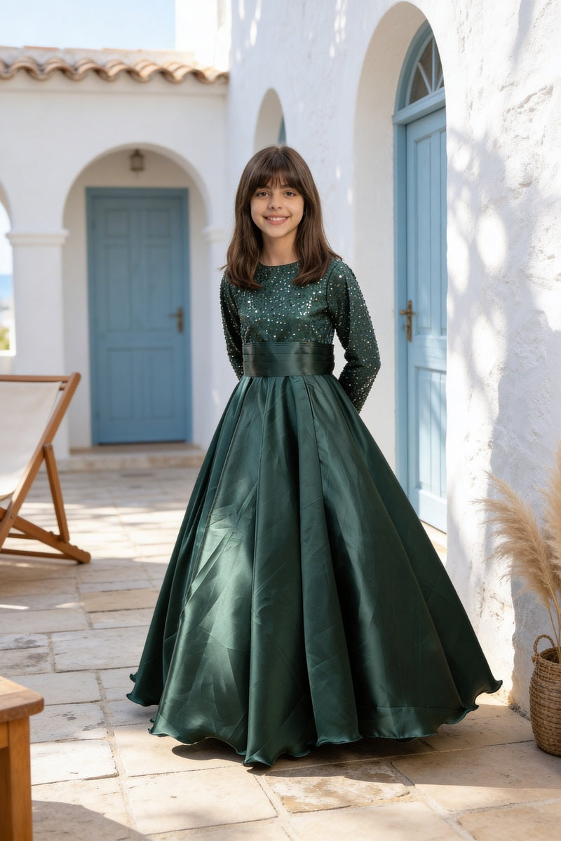 Green Sequence Embroidery Gown