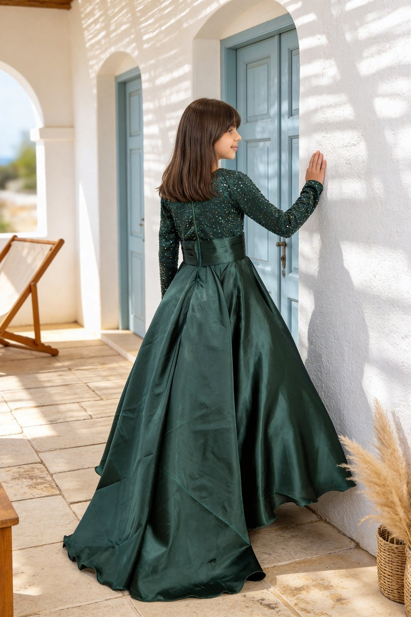 Green Sequence Embroidery Gown