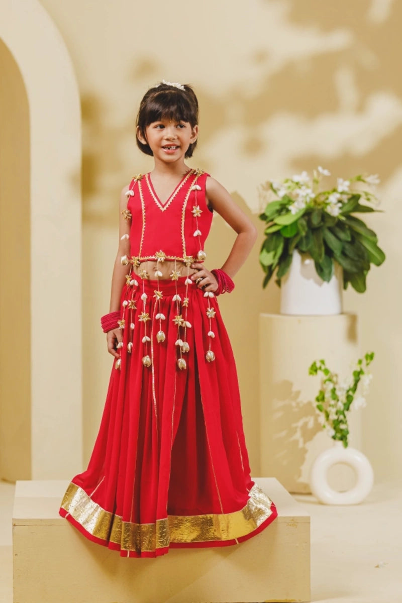 Pink Georgette Lehenga Choli Set