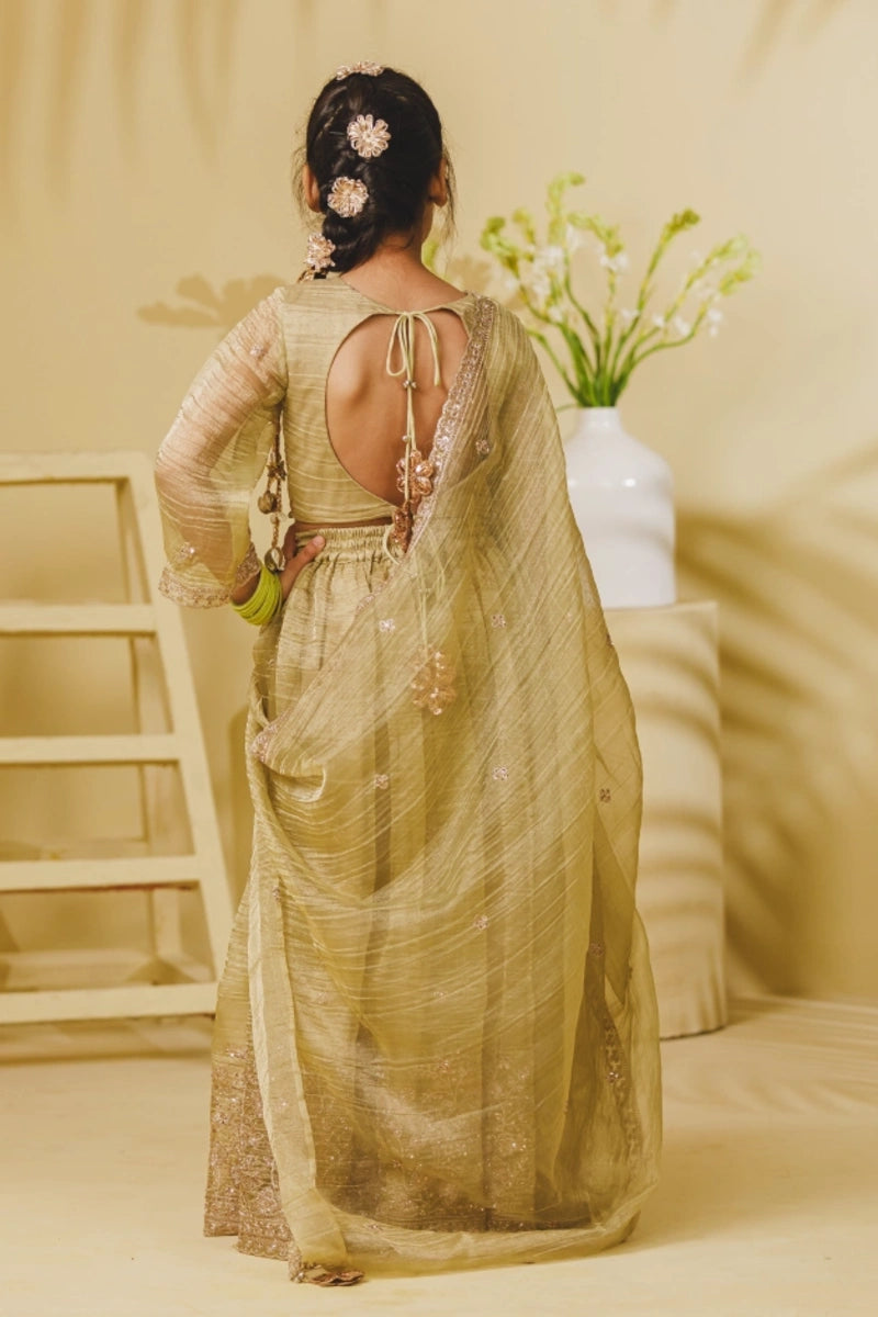 Pista Green Embroidery Lehenga Choli Set
