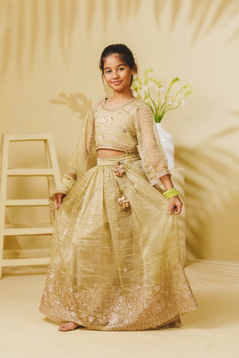Pista Green Embroidery Lehenga Choli Set