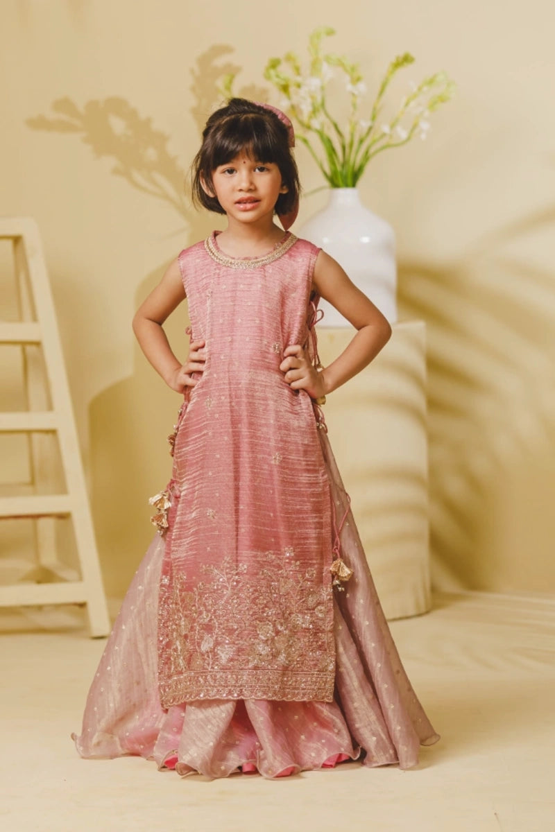 Pink Tissue Organza One piece Anarkali with Ponchu