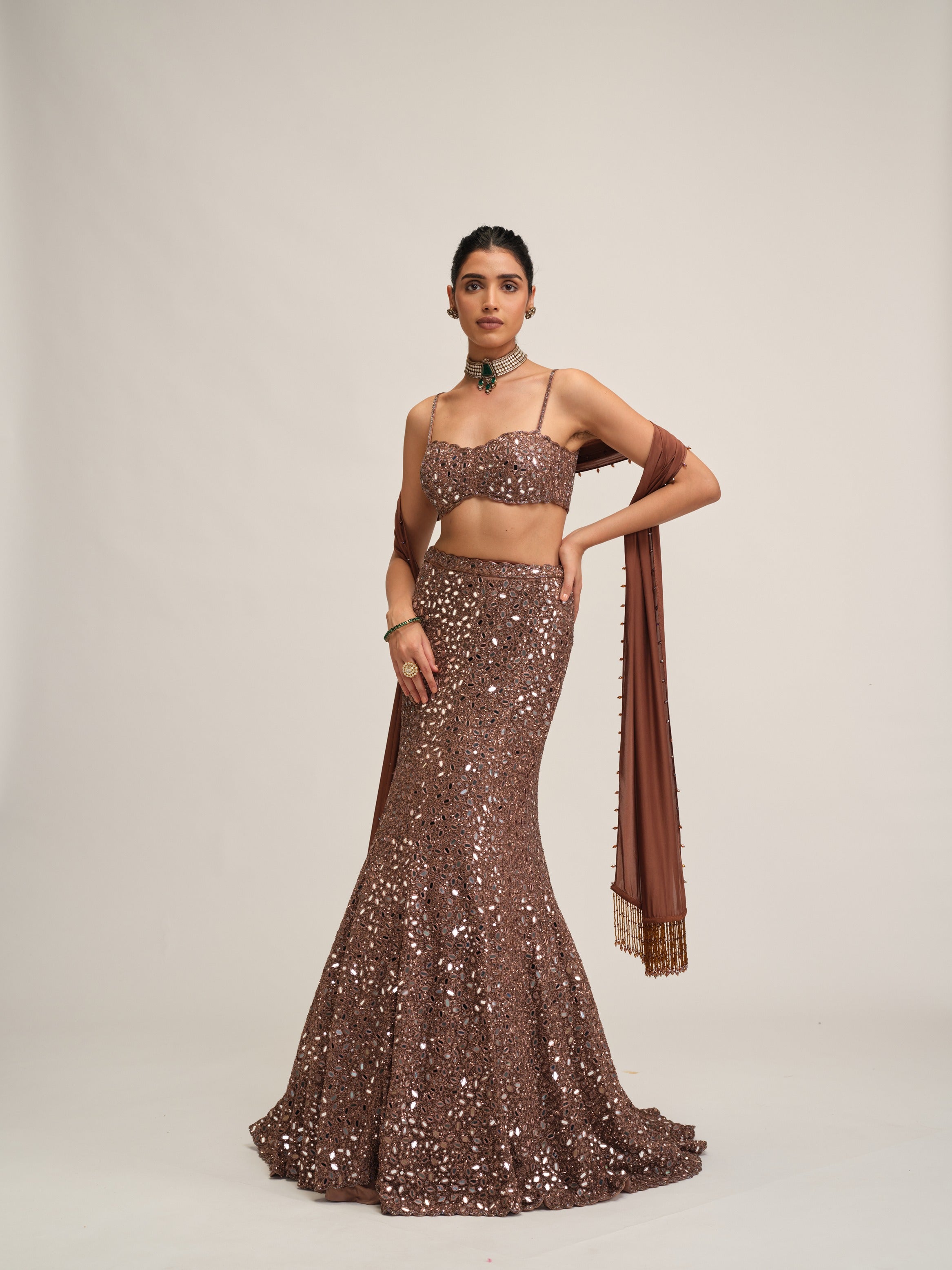 Deep Beige Fishcut Lehenga Set
