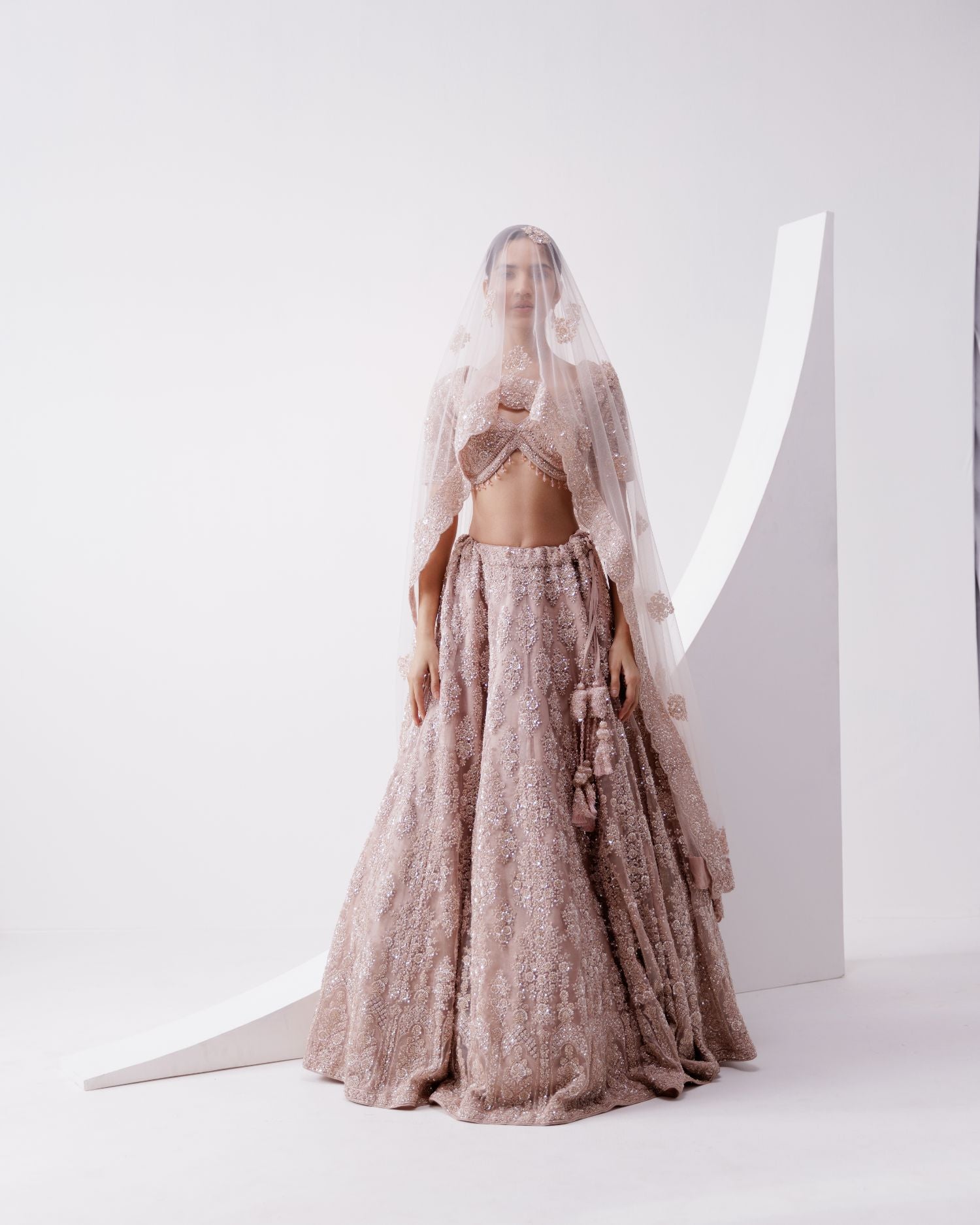 Organza Tissue Embroidered Lehenga