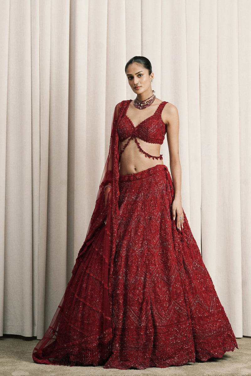 RED EMBROIDERED NET LEHENGA WITH DUPATTA