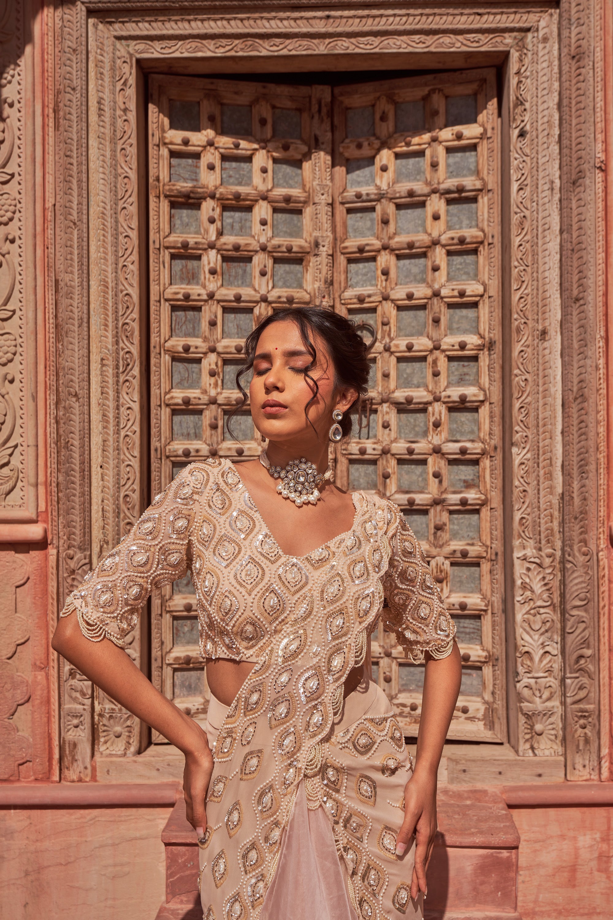 Natyanjali Utsav Embroidered Saree Paired With Beautiful Embroidered Blouse