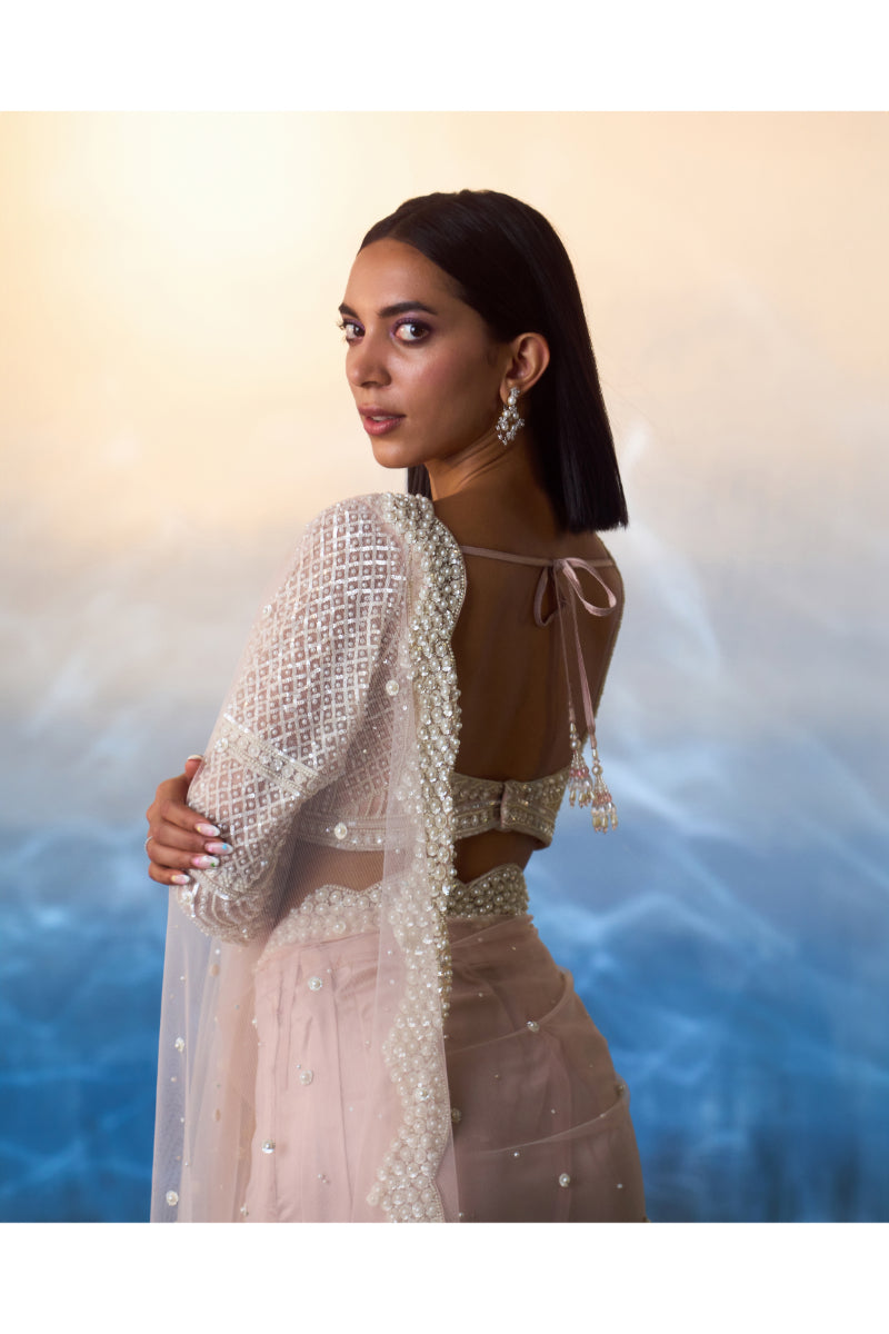 Light Peach Net Saree