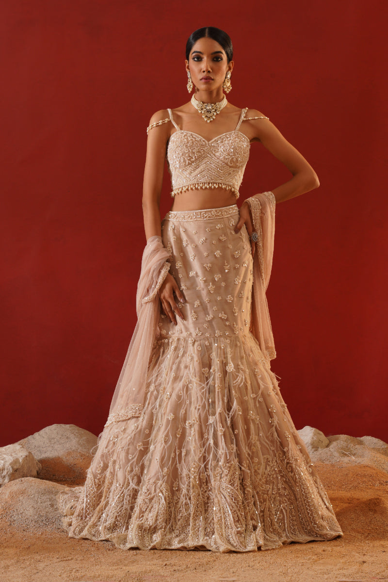 Beige Net Lehenga Choli Set