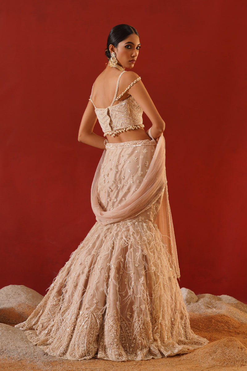 Beige Net Lehenga Choli Set