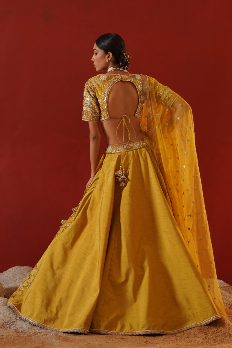 Mustard Dupian Silk Lehenga Choli Set