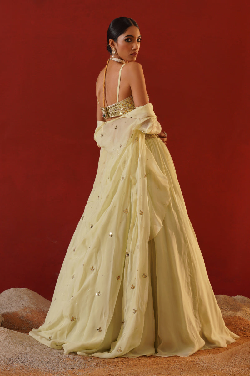 Mint Green Organza Lehenga Choli Set