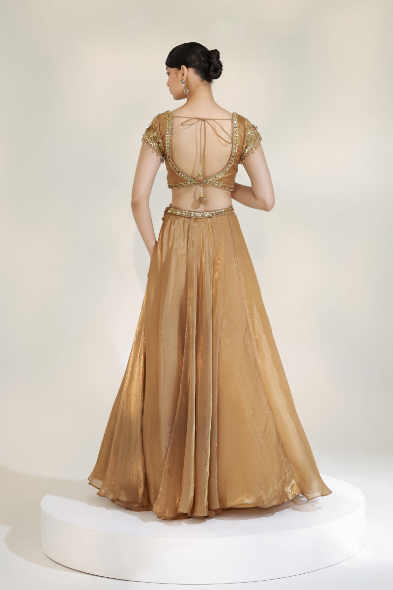 LUSTRE LEHENGA SET