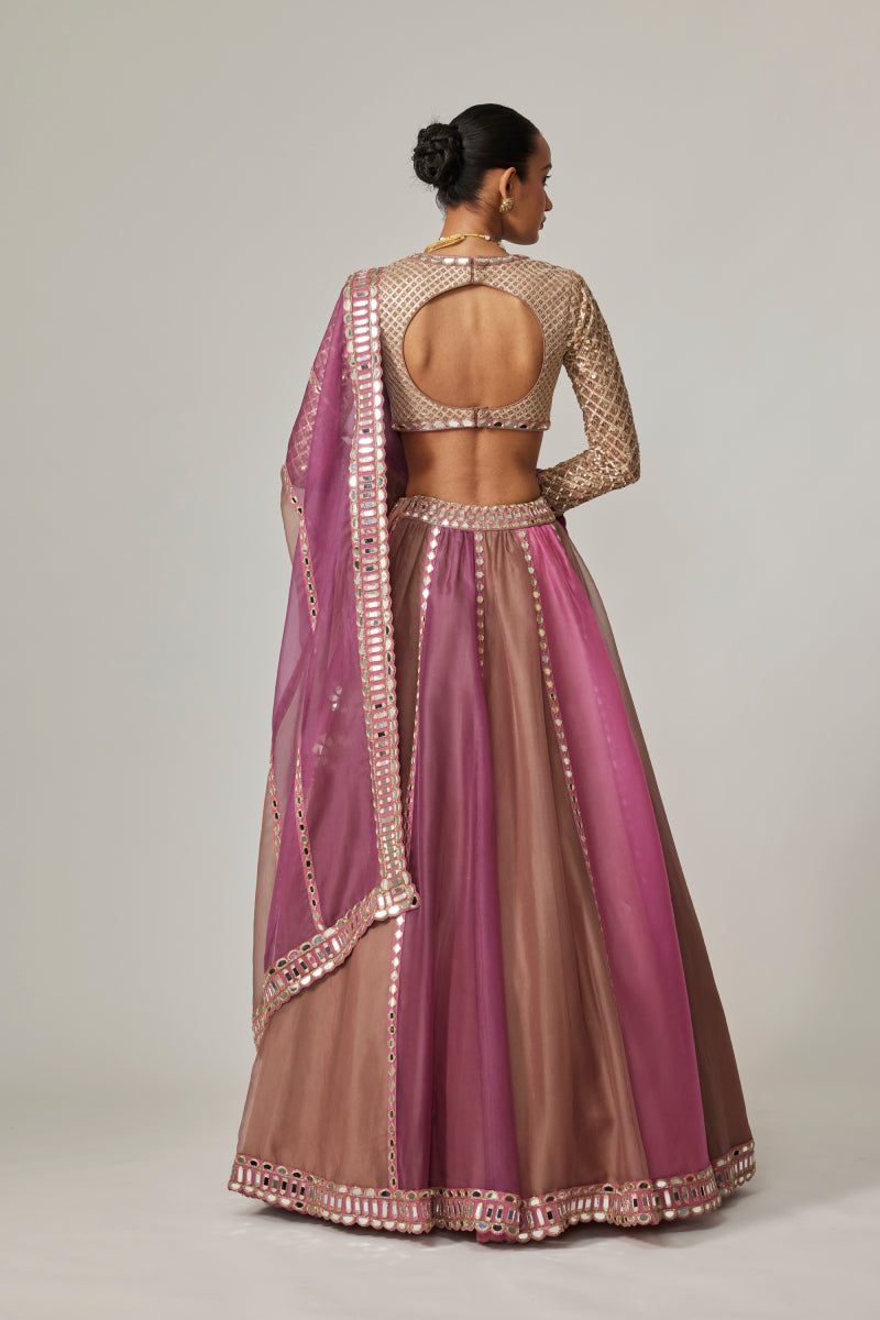 MUD MAUVE MULTICOLOR LEHENGA WITH V NECK BLOUSE