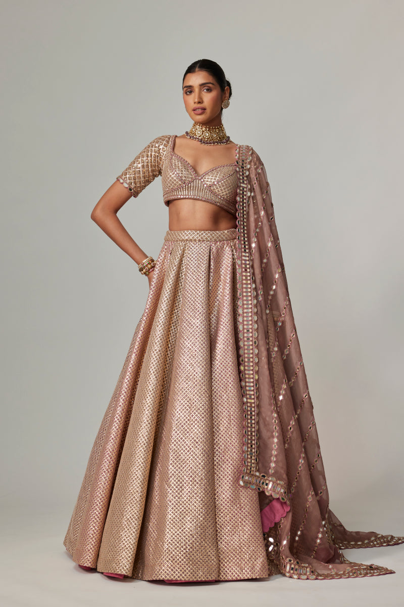 DEEP BEIGE MULTICOLOR METTALIC LEHENGA SET