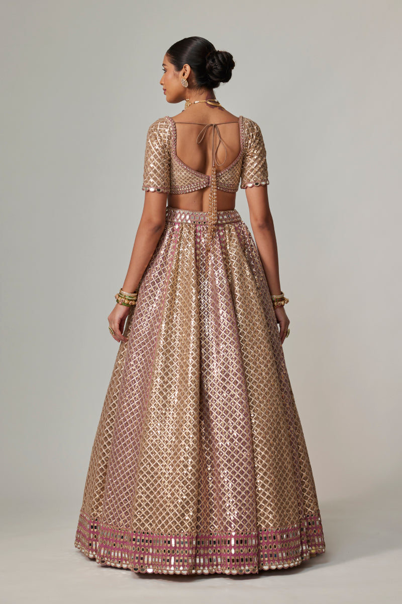 DEEP BEIGE MULTICOLOR METALLIC LEHENGA WITH ELBOW BLOUSE
