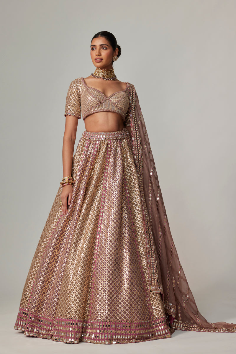 DEEP BEIGE MULTICOLOR METALLIC LEHENGA WITH ELBOW BLOUSE