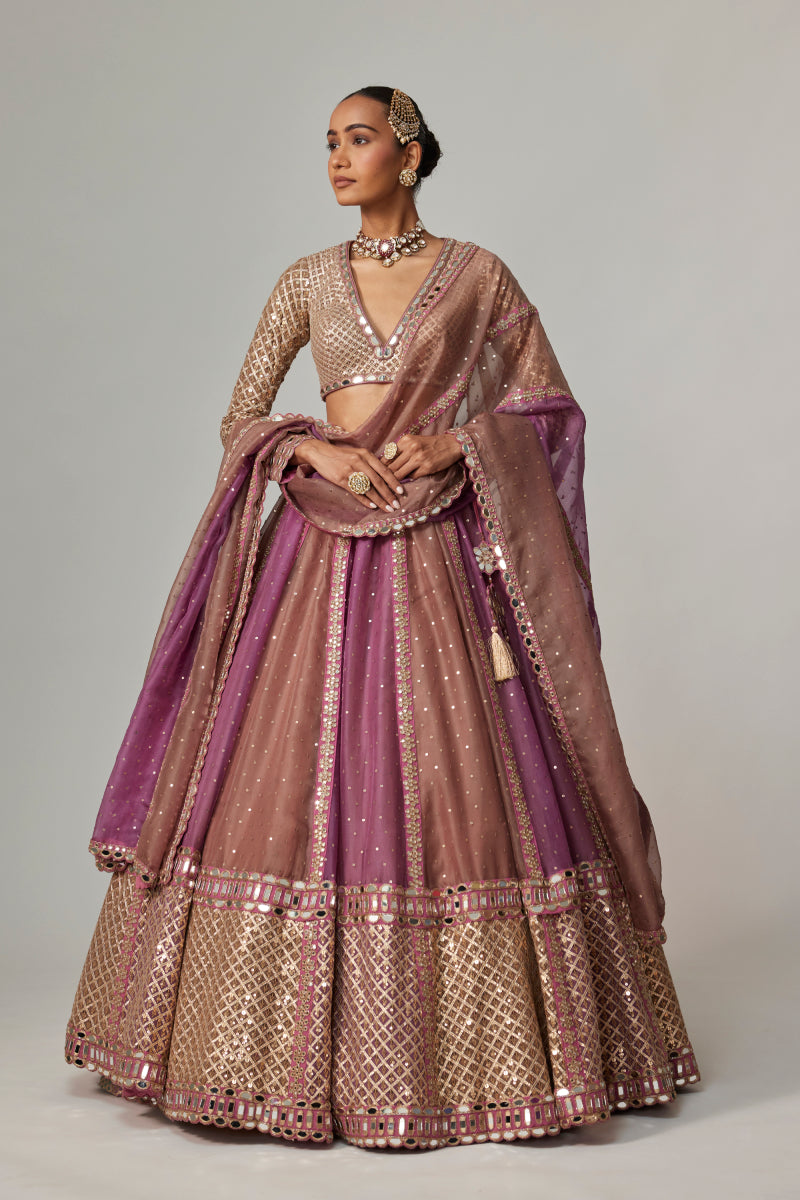 MUD MAUVE MULTICOLOR CHITA SEQUIN SCATTERED LEHENGA SET WITH V NECK FULL SLEEVES