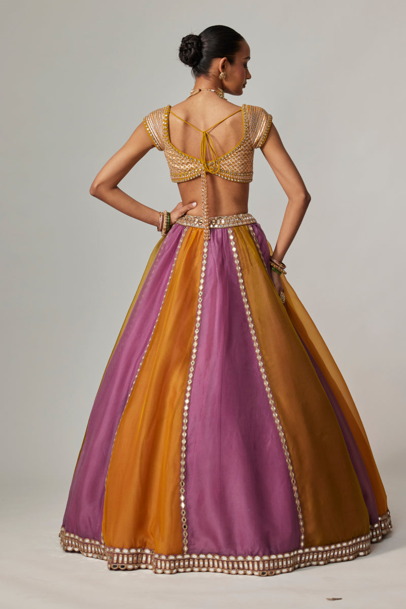 MUSTARD MULTICOLOR LINEAR LEHENGA WITH CAP SLEEVE BLOUSE