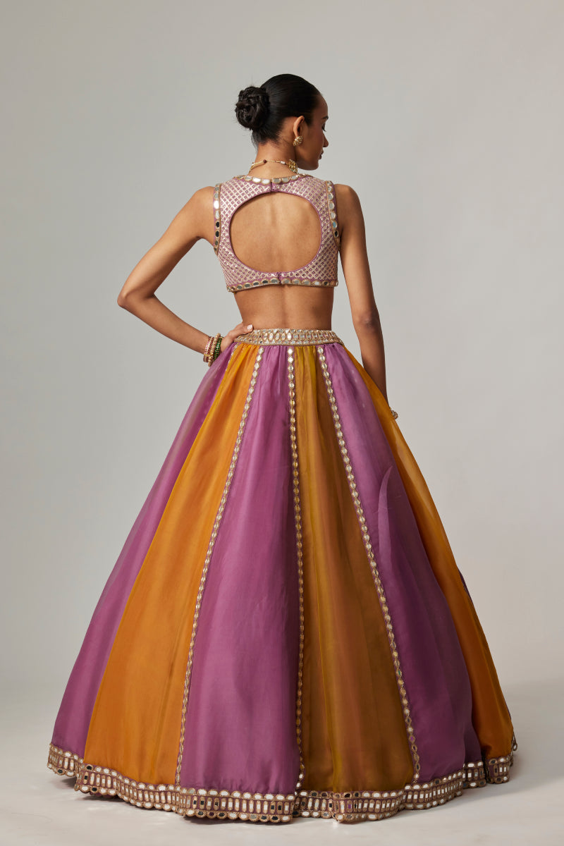 MUSTARD MULTICOLOR LINEAR LEHENGA WITH V NECK BLOUSE