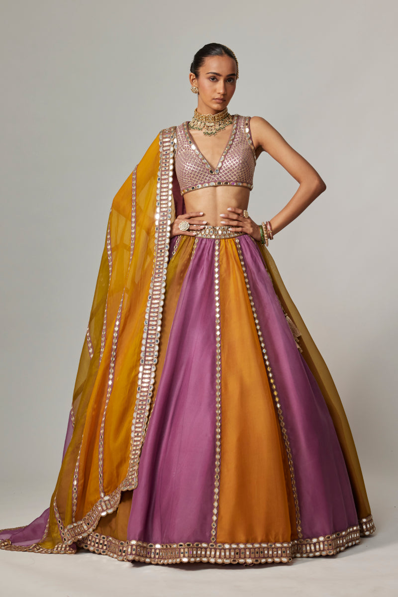MUSTARD MULTICOLOR LINEAR LEHENGA WITH V NECK BLOUSE
