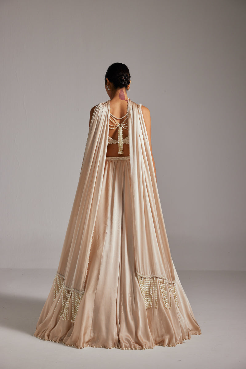 Light Beige V Neck Satin skirt Set