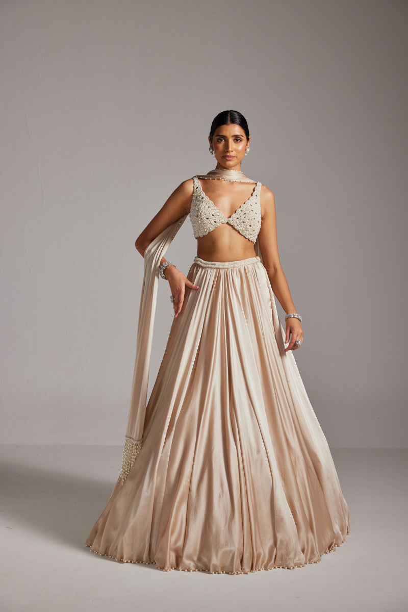 Light Beige V Neck Satin skirt Set