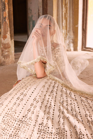 Aisha Blouse & Lehenga Set- front view