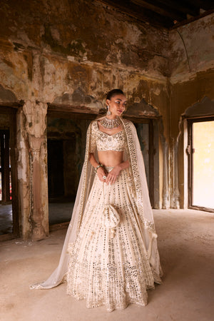 Aisha Blouse & Lehenga Set- front view