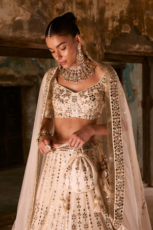 Aisha Blouse & Lehenga Set- front view