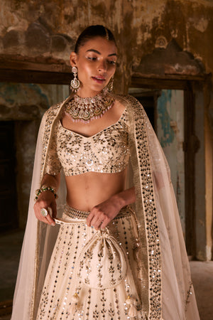 Aisha Blouse & Lehenga Set- front view