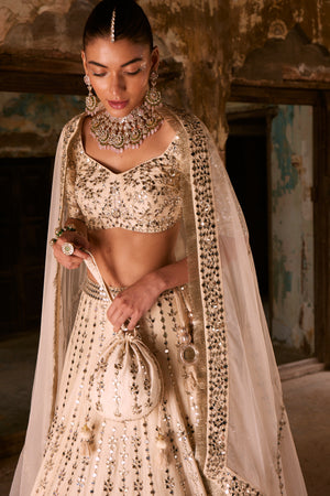 Aisha Blouse & Lehenga Set- front view