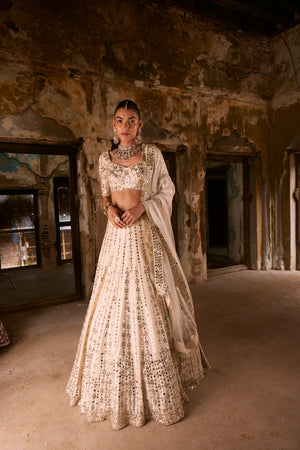 Aisha Blouse & Lehenga Set- front view