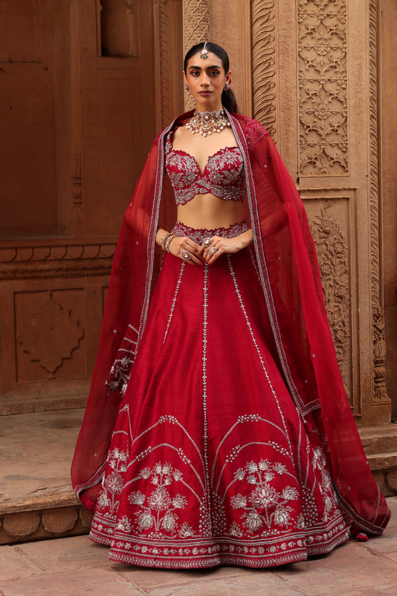 Adaah lehenga set
